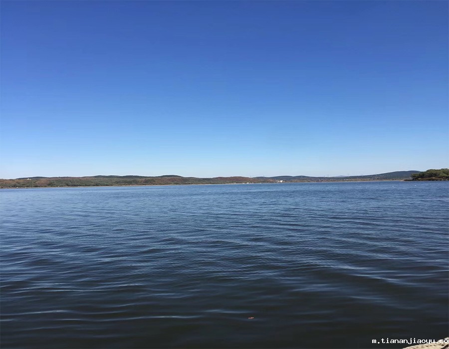 星空电竞有限公司官网激光拓展训练-团结就是力量